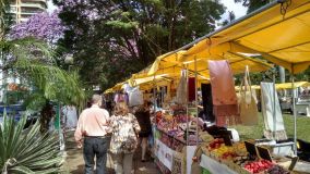 Feira-CAMG-50.jpeg